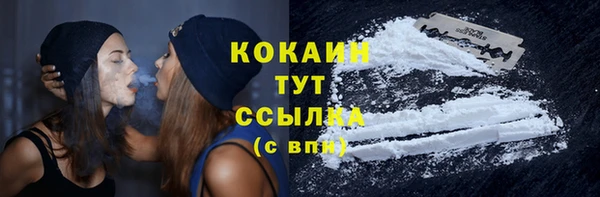 хмурый Мегион
