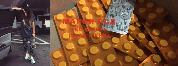 mdpv Медвежьегорск