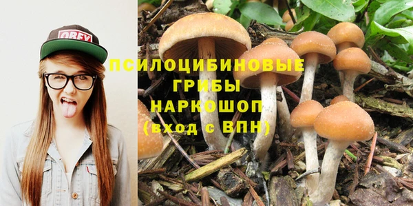 хмурый Мегион