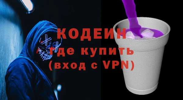 хмурый Мегион