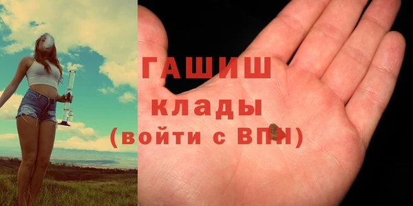 хмурый Мегион
