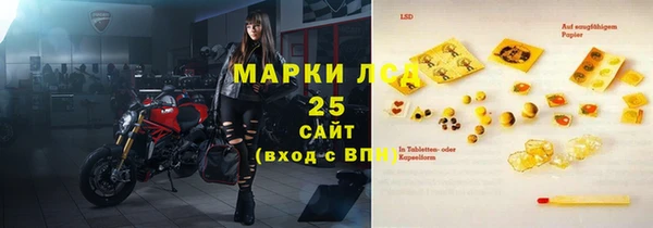 хмурый Мегион