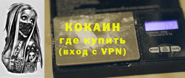 индика Михайловск